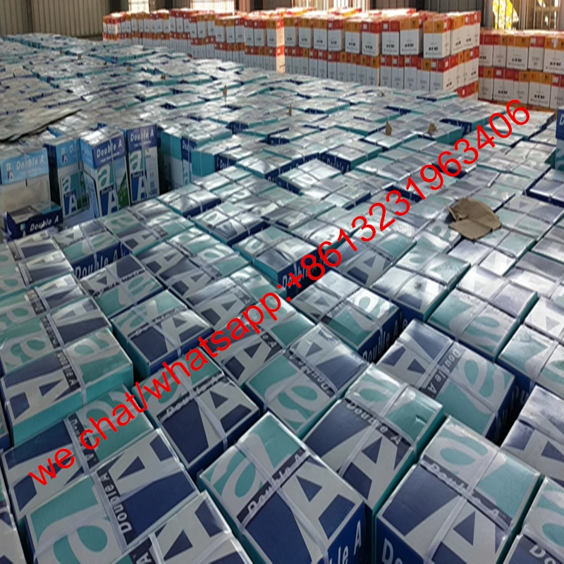 Apollo Heat Transfer Printing Paper Coated Sublimation Paper for Digital Sublimation Printer